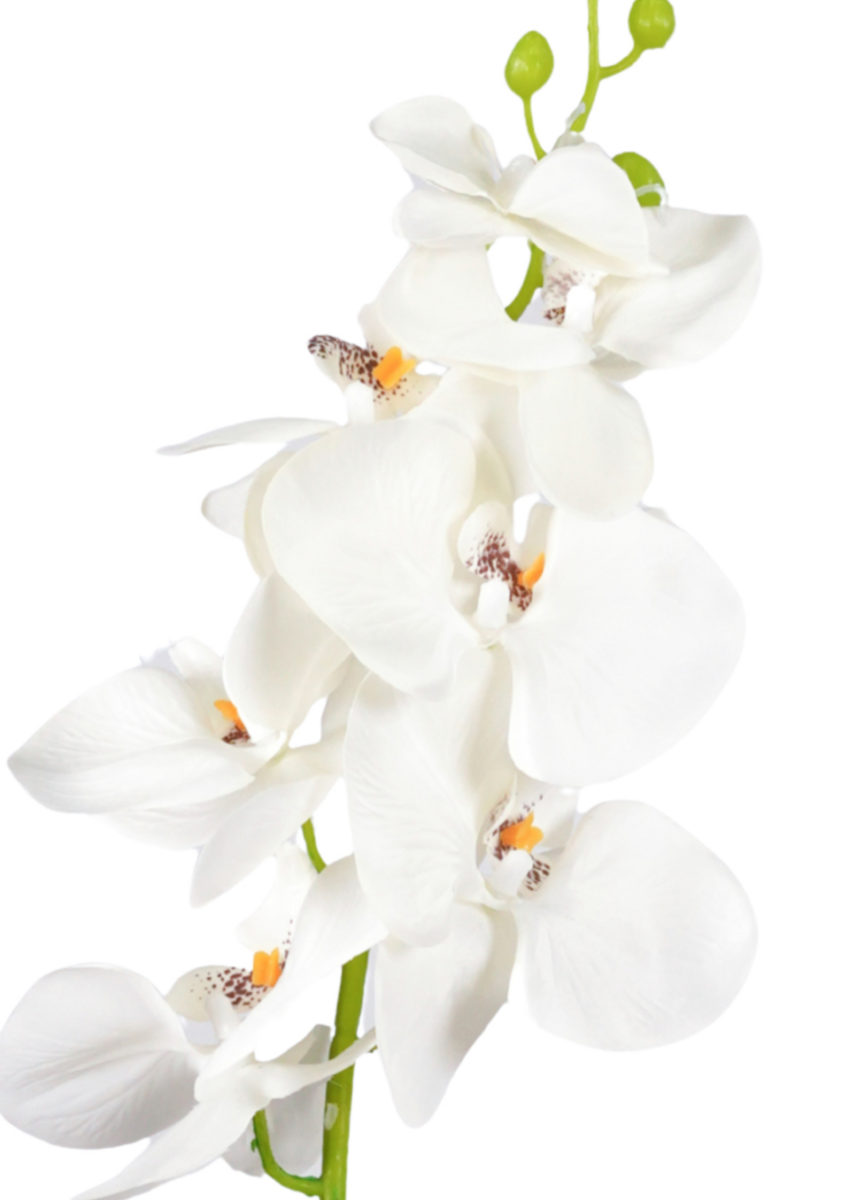 Zijden bloem "Phalaenopsis" spray wit | 84 cm
