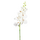 Zijden bloem "Phalaenopsis" spray wit | 84 cm