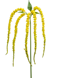 Zijden bloem "Amaranthus" geel | 97 cm
