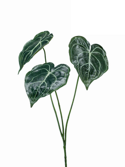 Zijden bloem "Anthurium bladeren" | 62cm