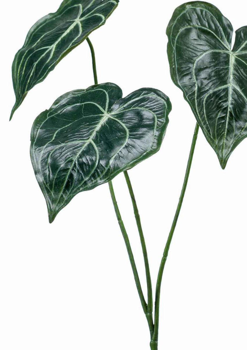 Zijden bloem "Anthurium bladeren" | 62cm