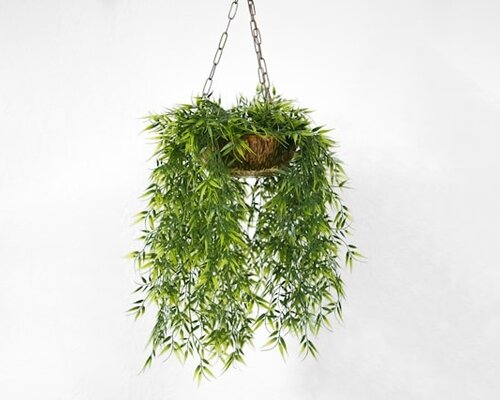 Hoe houd ik mijn zijden planten mooi?