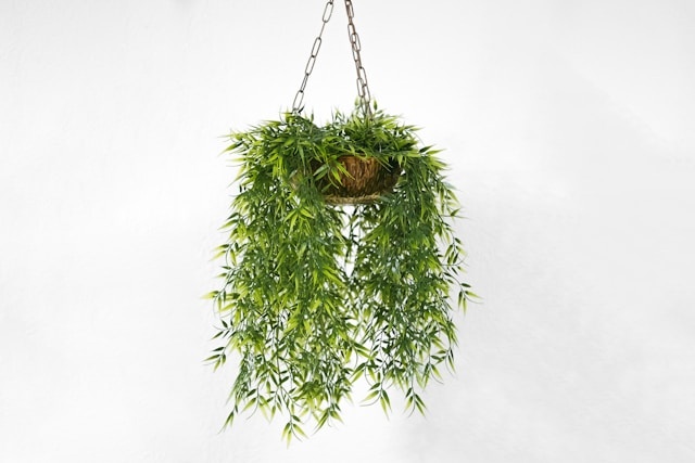 Hoe houd ik mijn zijden planten mooi?