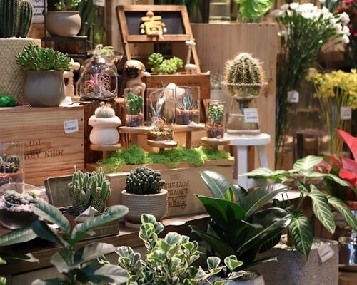 Creëer jouw persoonlijke sfeer met zijden planten