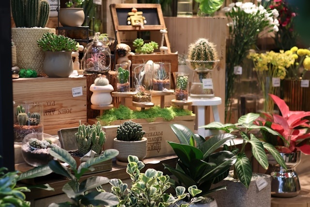 Creëer jouw persoonlijke sfeer met zijden planten