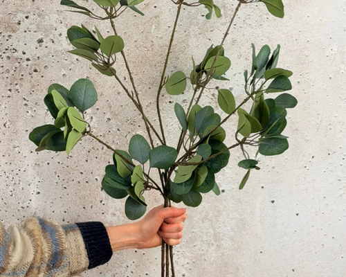 Waarom zijden planten niet uit de mode zullen gaan