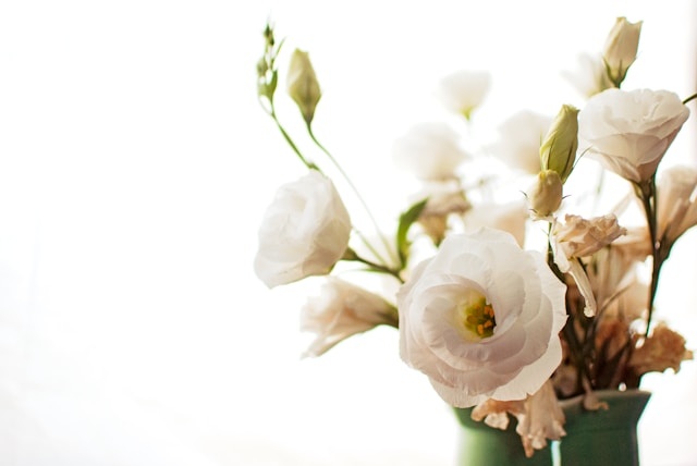 De geschiedenis van de zijden bloem