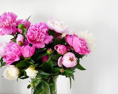 Hoe lang gaan zijden bloemen mee?