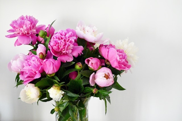 Hoe lang gaan zijden bloemen mee?