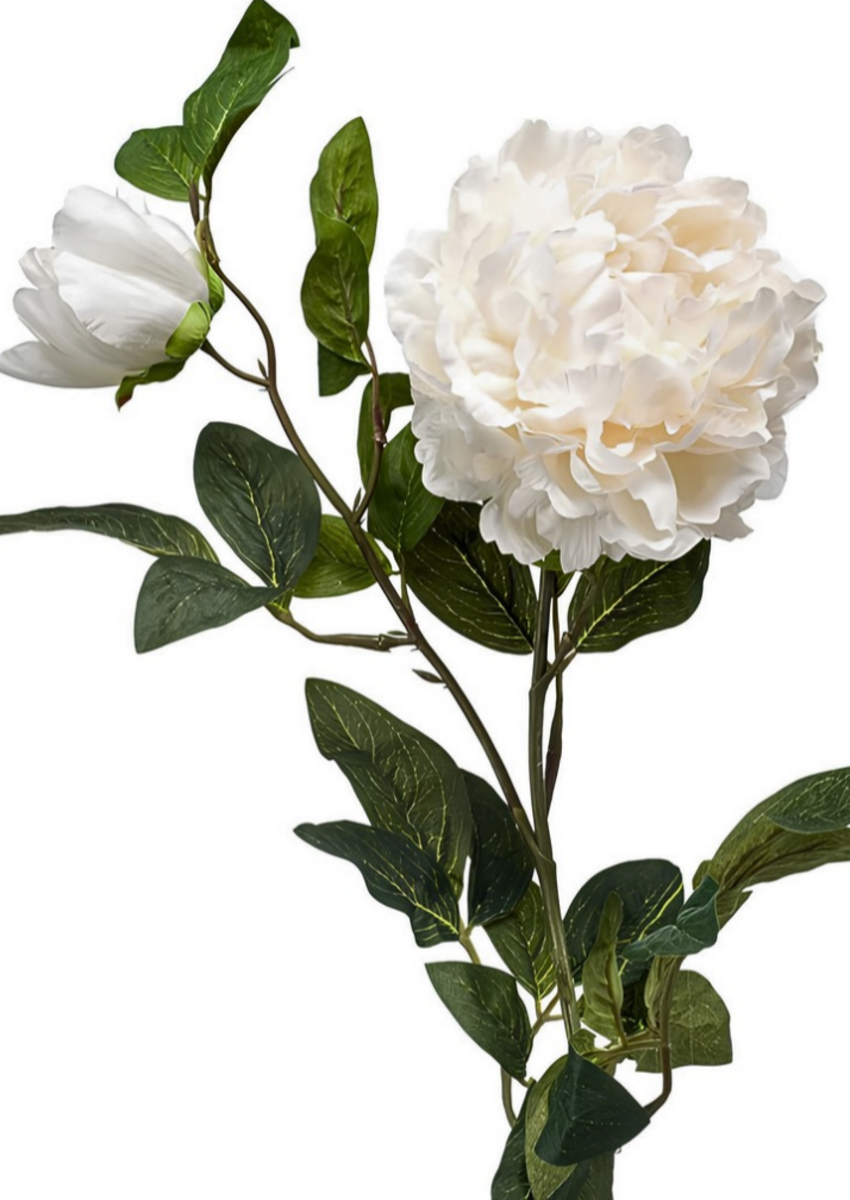 Zijden bloem "Peony" créme | 100cm