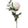 Zijden bloem "Peony" créme  | 100cm