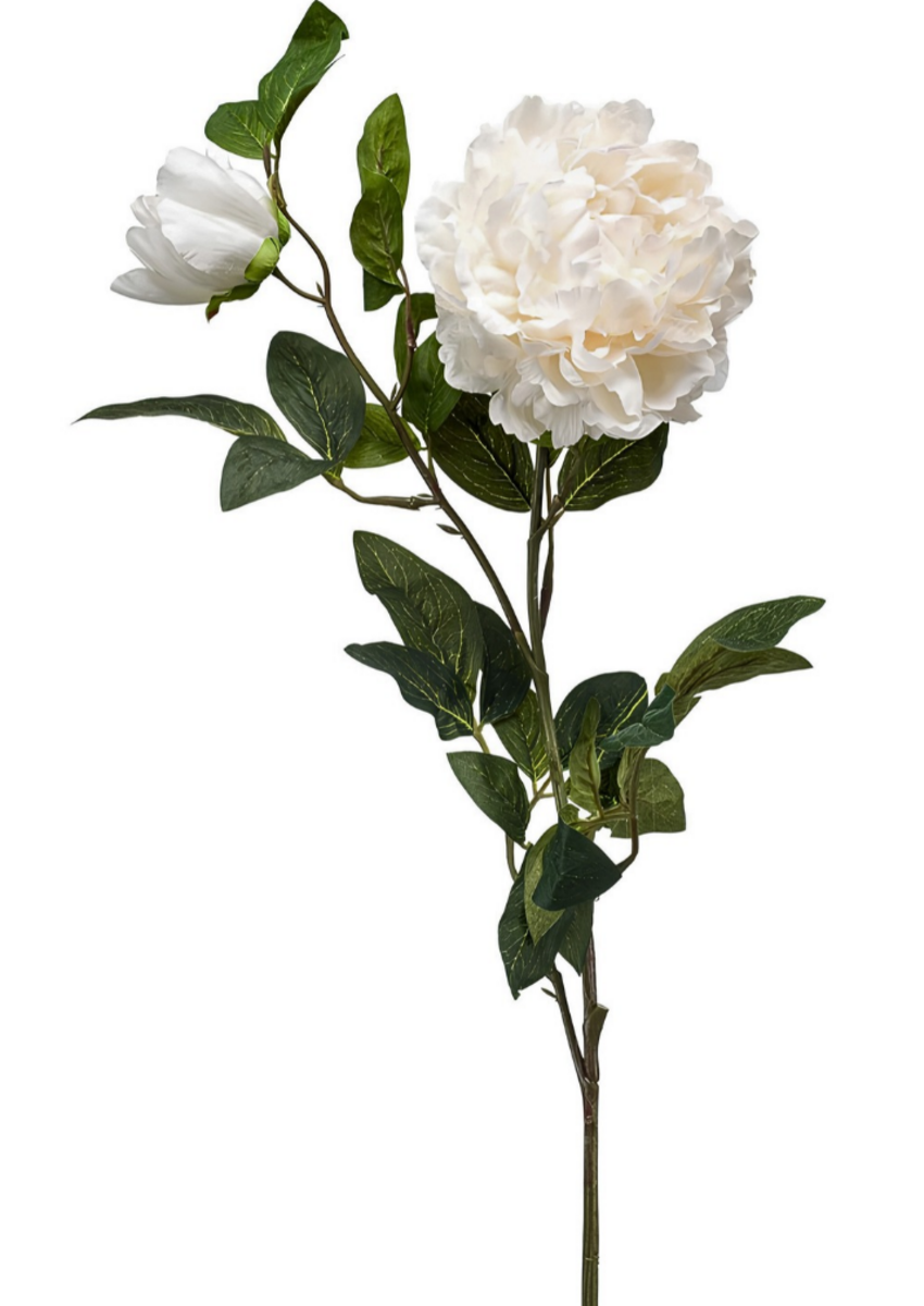 Zijden bloem "Peony" créme | 100cm