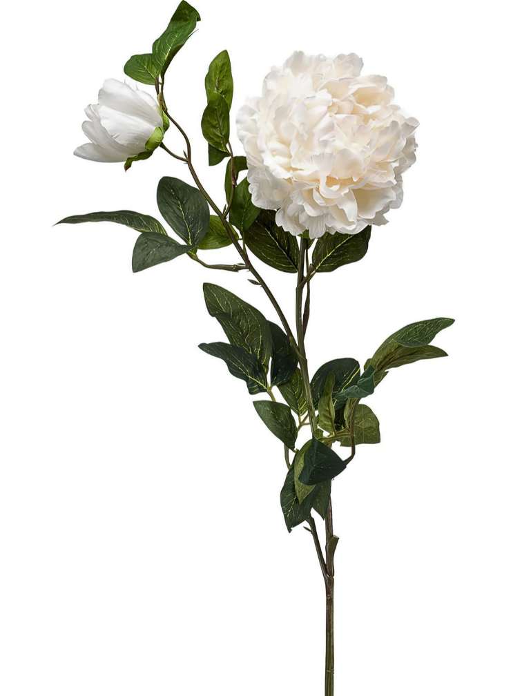 Zijden bloem "Peony" créme | 100cm