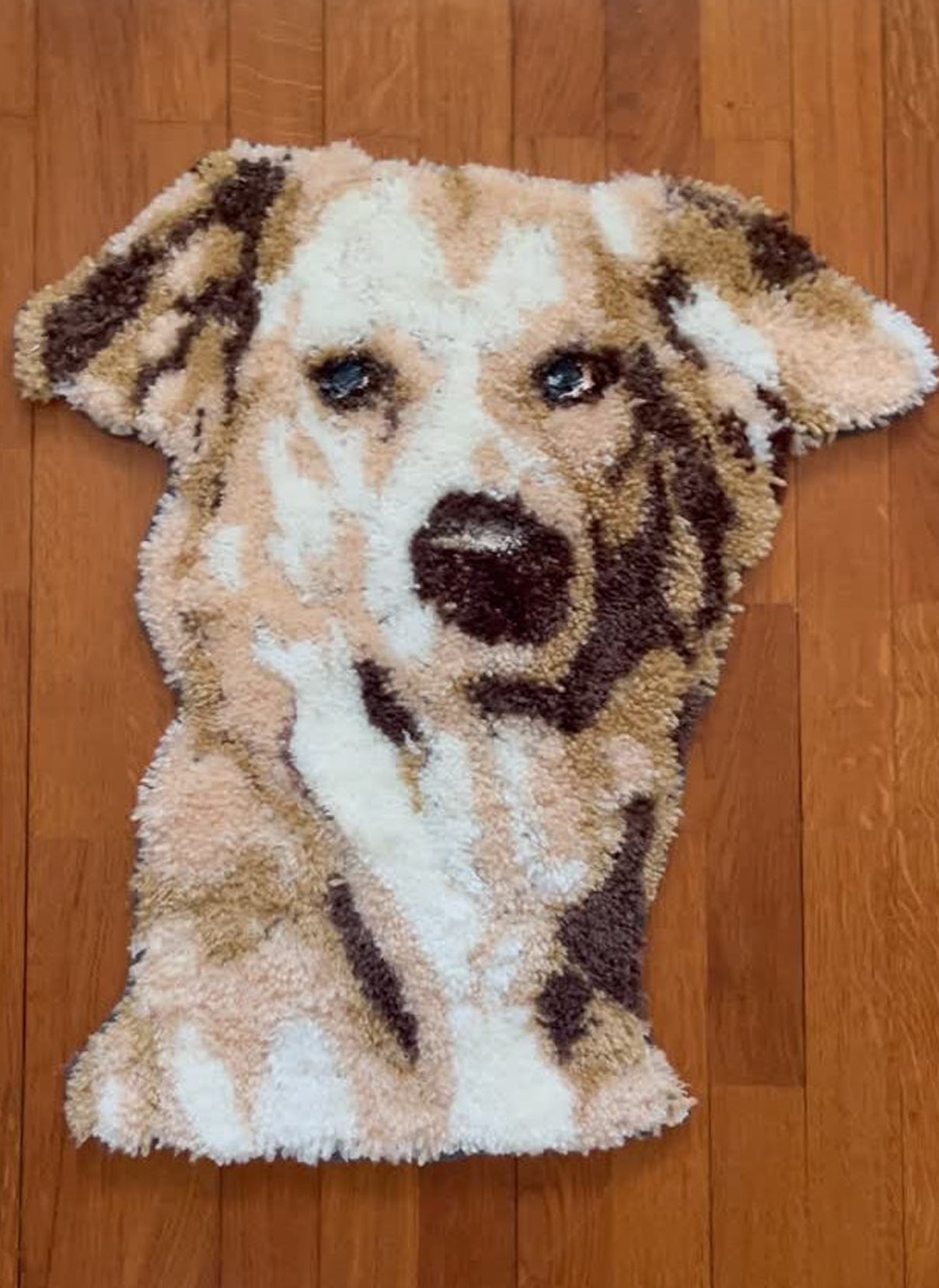 Tufted rug of a dog.