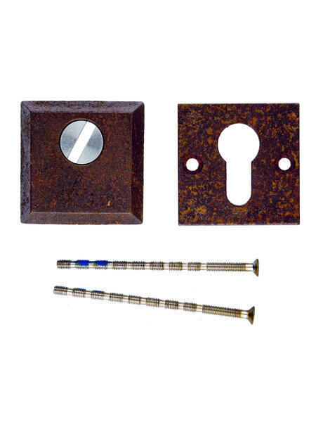 HDD Veiligheids cilinderplaatjes SAFE 12 mm - roest - Vierkant PZ