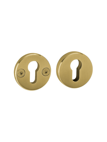 JNF Architectural Hardware Paar JNF veiligheidsrozetten voor cilinder – PVD Titanium Goud