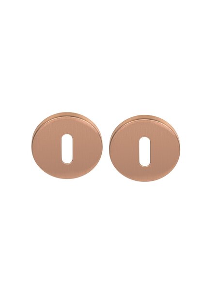Formani Sleutelplaatjes Basics LBN50 6 mm - PVD mat brons