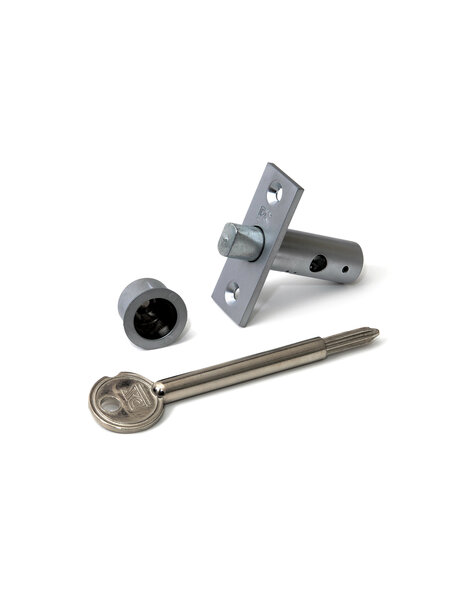 Dulimex Insteekgrendel met stersleutel lengte 45 mm zilvergrijs