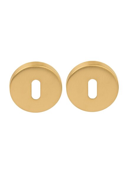 DKS Ronde sleutelplaatjes 50D 10mm - goud PVD