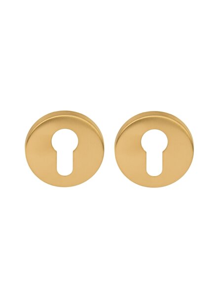 DKS Ronde cilinderplaatjes 50R - Mat goud PVD