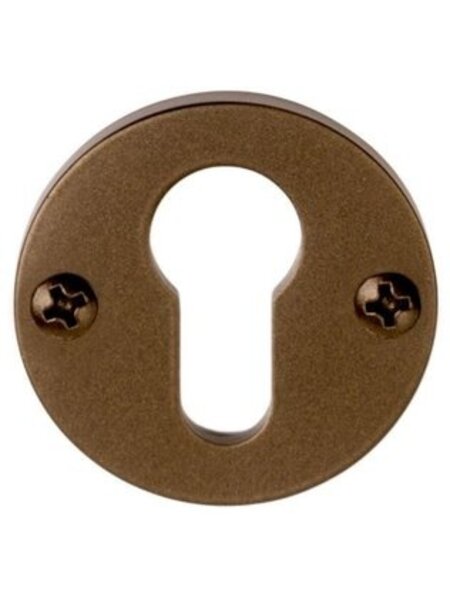 Formani 1 Cilinderplaatje Piet Boon ONE - PBY50 Brons