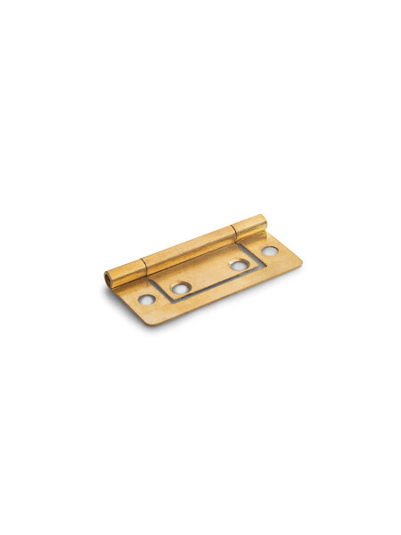 Dulimex Louvredeurscharnier 50x24 mm vermessingd
