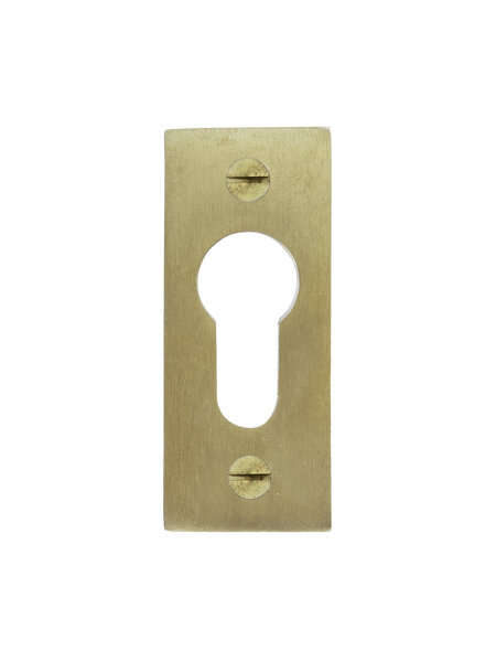 Dauby 1 Cilinderplaatje PZ-PBTC Q geborsteld messing
