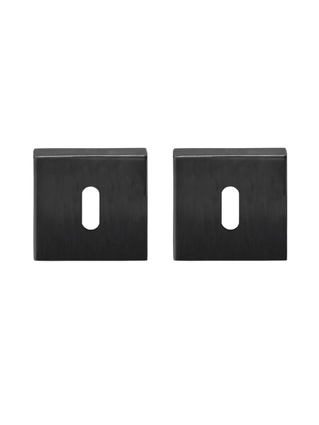 Formani Sleutelplaatjes Basics BSQ N53 IG - Gun metal PVD