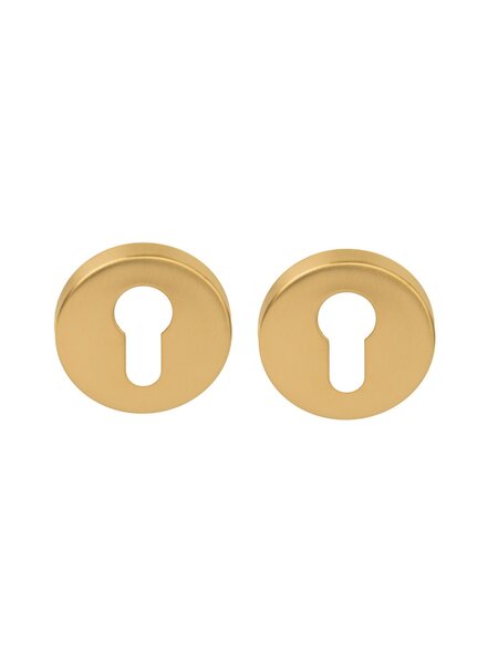 Formani Cilinderplaatjes Basics LBY50D 10mm IM- Goud PVD
