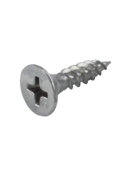 HDD Schroef RVS Chroom/nikkel L= 17mm