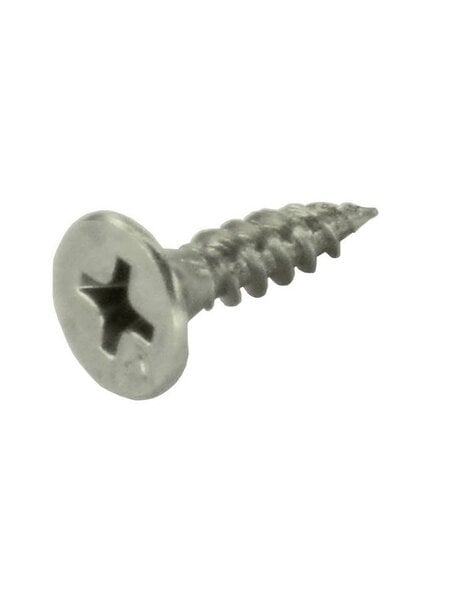 HDD Schroef RVS look L=17mm
