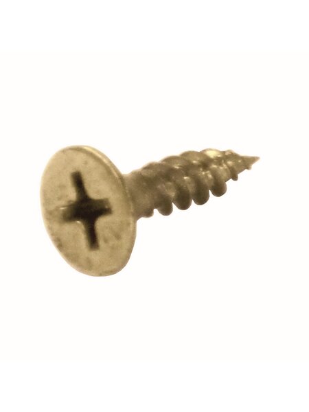 HDD Schroef goud-titanium L= 17mm