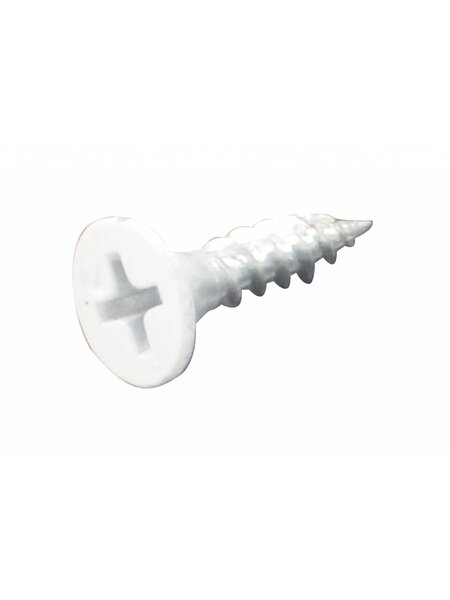 HDD Schroef wit L=20mm