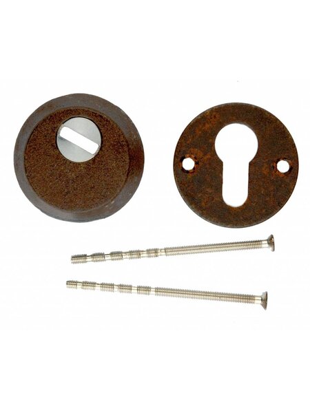 HDD VEILIGHEIDSCYLINDER PLAATJE SAFE ROEST 6MM