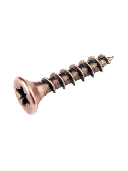 HDD Schroef Rosa L= 17mm
