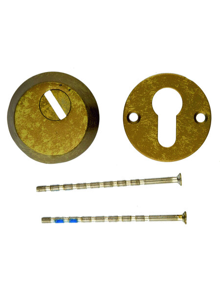 HDD Veiligheids cilinderplaatjes SAFE 12 mm - Old Yellow