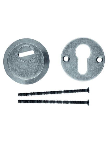 HDD Veiligheids cilinderplaatjes SAFE 12 mm - Old Silver