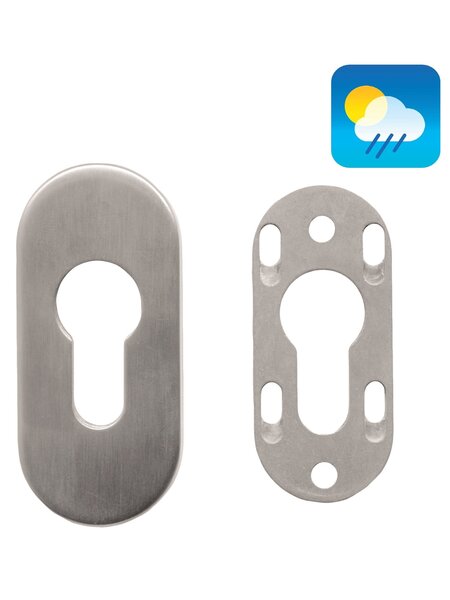 HDD 1 Veiligheidscilinderplaatje ovaal 6mm - RVS