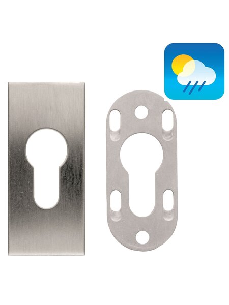 HDD 1 Veiligheidscilinderplaatje 6mm - RVS