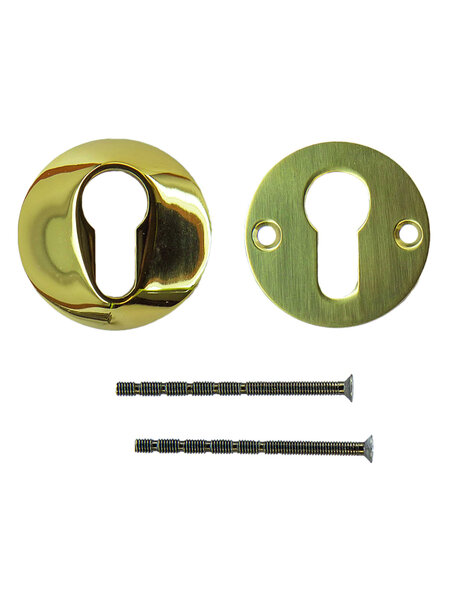 HDD Veiligheidscilinderplaatjes 8 mm - Titanium- Rond PZ