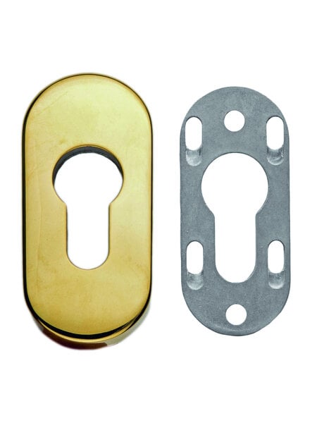 HDD Veiligheidscilinderplaatje ovaal 9 mm - Titanium