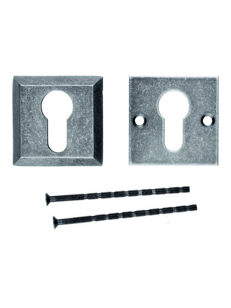 HDD Veiligheidscilinderplaatjes 10 mm - oud zilver - vierkant PZ