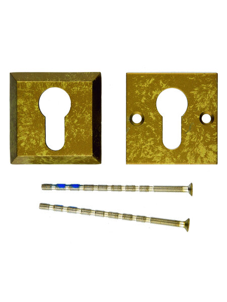 HDD Veiligheidscilinderplaatjes 8 mm - oud geel - vierkant PZ