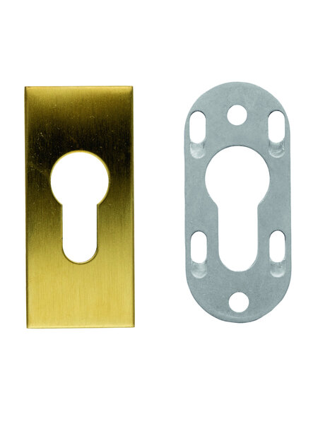 HDD Veiligheidscilinderplaatje 6 mm - mat goud