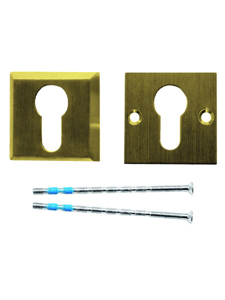 HDD Veiligheidscilinderplaatjes 8 mm - mat goud - vierkant PZ