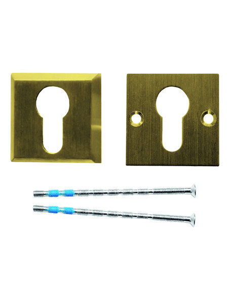 HDD Veiligheidscilinderplaatjes 10 mm - mat goud - vierkant PZ