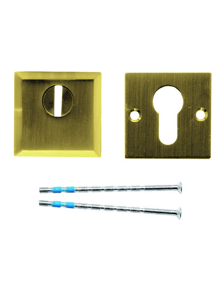 HDD Veiligheids cilinderplaatjes SAFE 12 mm - mat goud - Vierkant PZ