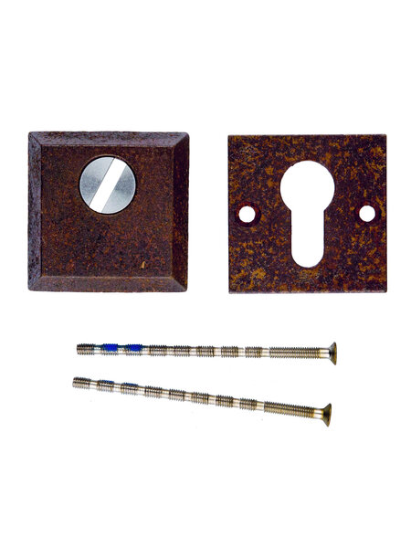 HDD Veiligheids cilinderplaatjes SAFE 10 mm - roest - Vierkant PZ