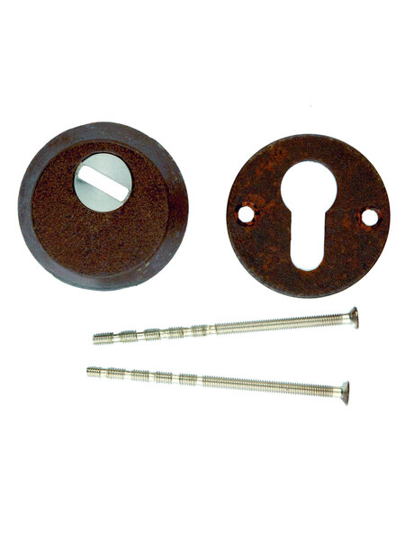 HDD Veiligheids cilinderplaatjes SAFE 10 mm - roest