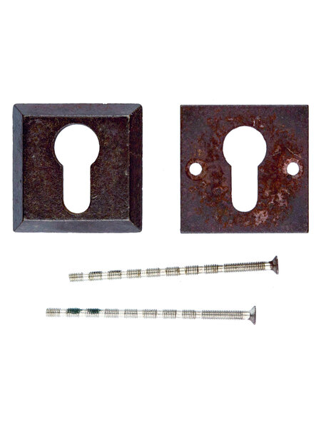 HDD Veiligheidscilinderplaatjes 8 mm - roest - vierkant PZ